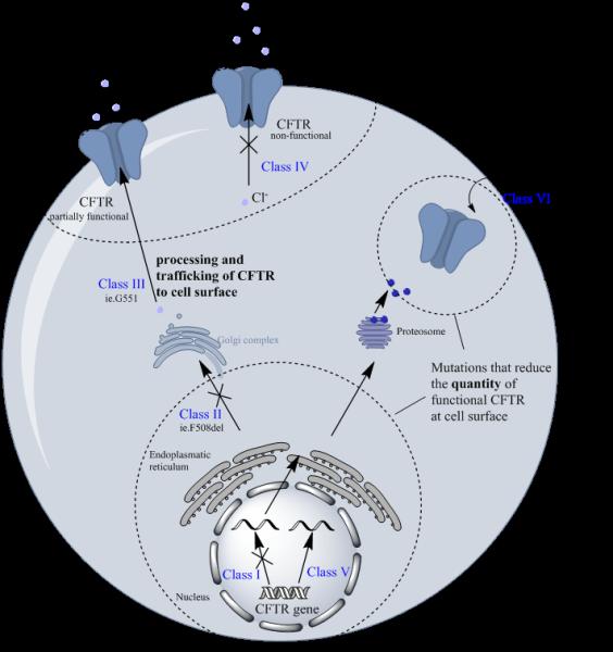 Figure 1B