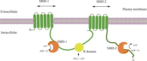 Figure 1A