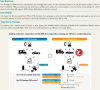 Structured Graphical Abstract
