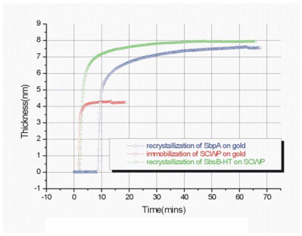 FIG. 3