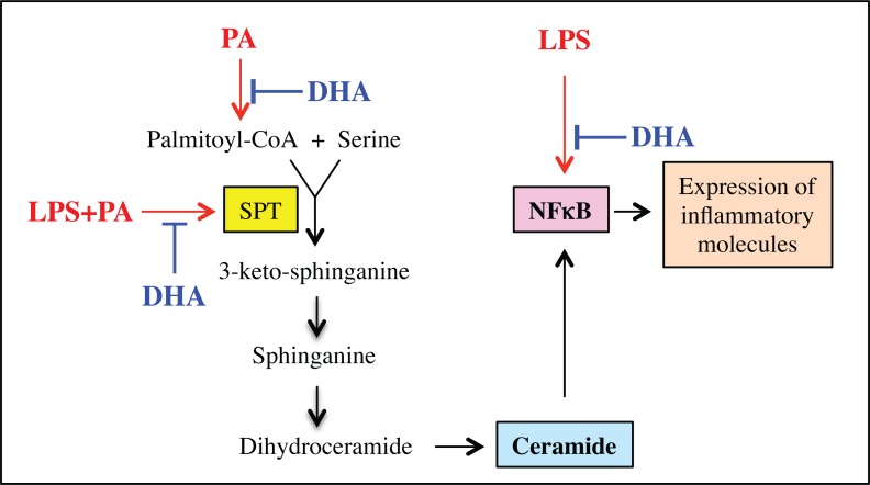 Fig 6