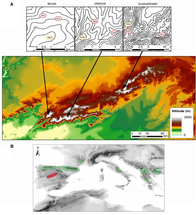 FIGURE 1