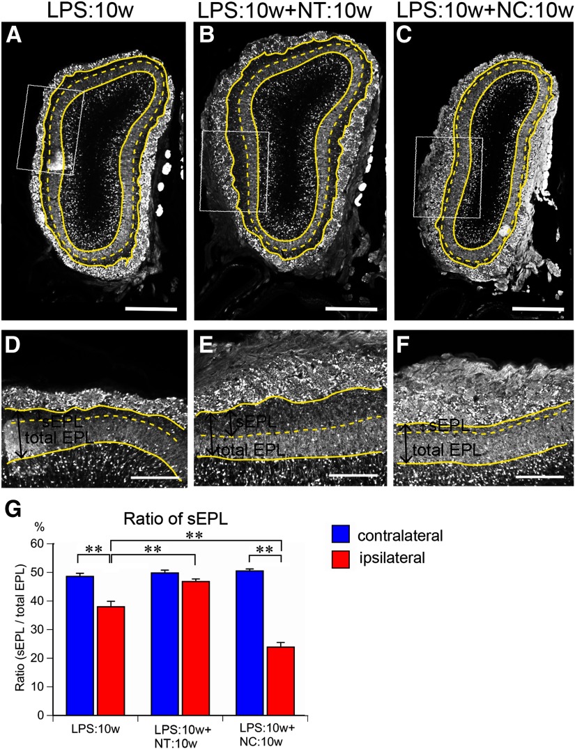 Figure 12.