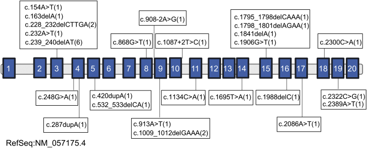 Figure 2