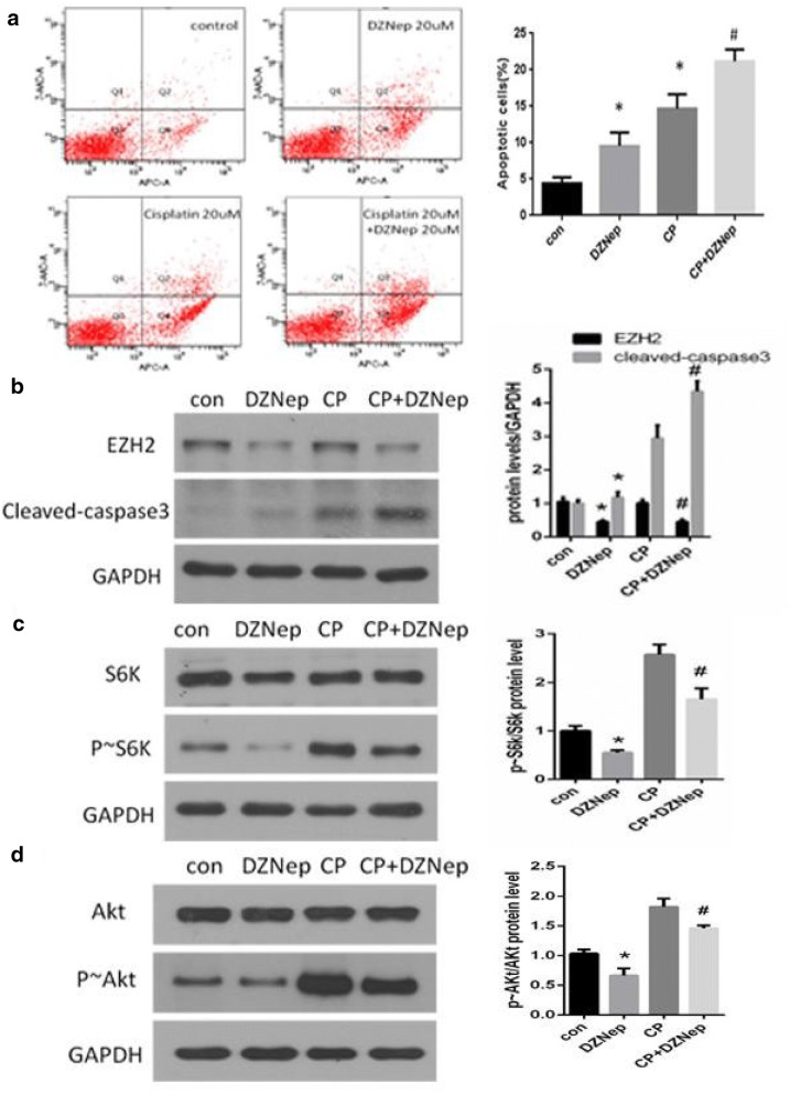 Fig. 4