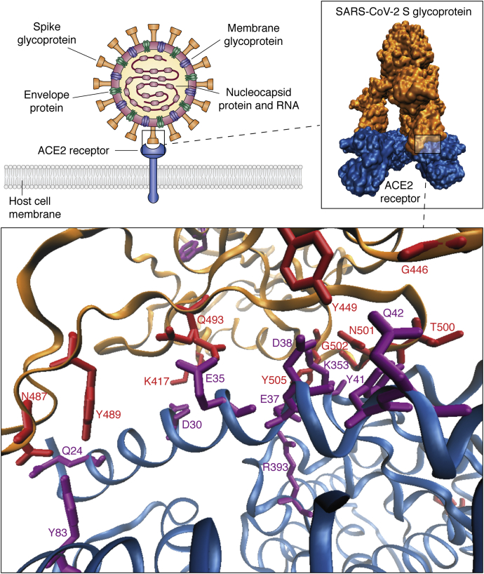 Figure 3