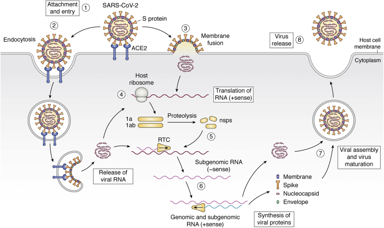 Figure 1