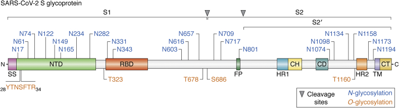 Figure 4