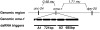 F<sc>igure</sc> 1.—