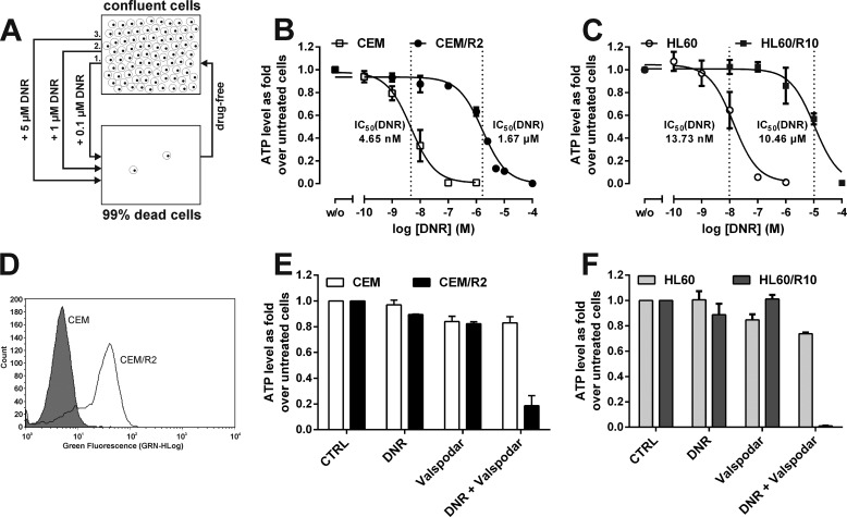 FIGURE 1.