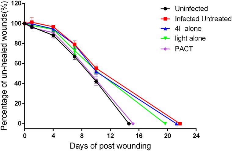 Fig 6