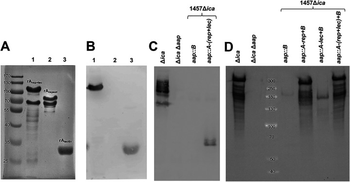 FIG 5