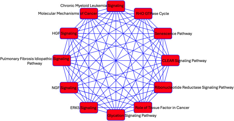 Diagram showing interconnected signaling pathways and processes, including Chronic Myeloid Leukemia Signaling, Molecular Mechanisms of Cancer, and RHO GTPase Cycle. Each pathway is linked by blue lines, forming a network with red nodes.