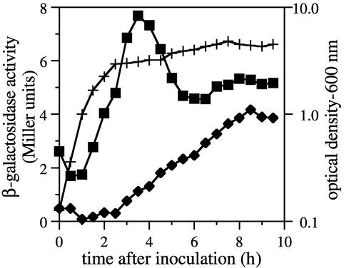 FIG. 2.