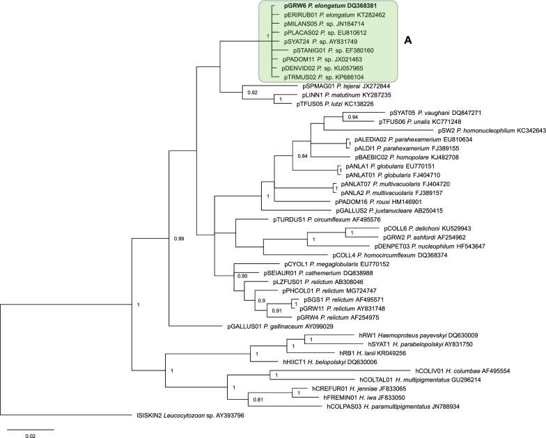 Fig. 3