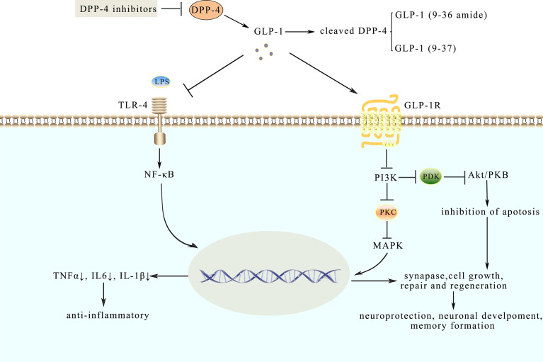 Figure 2