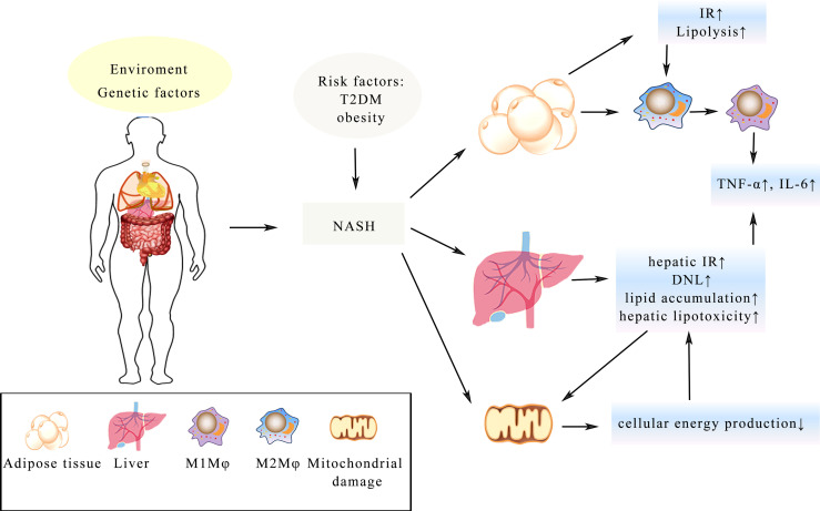 Figure 3