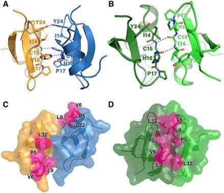 Fig. 4