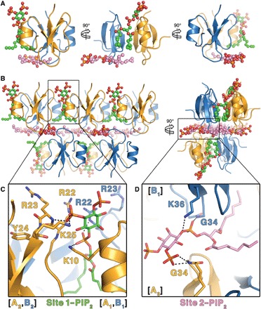 Fig. 2