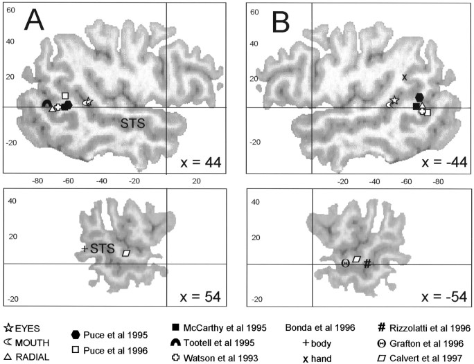 Fig. 9.