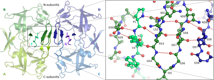 FIGURE 1