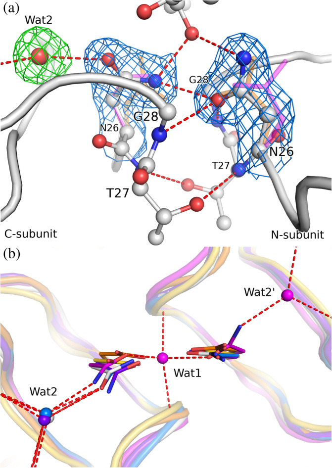 FIGURE 2