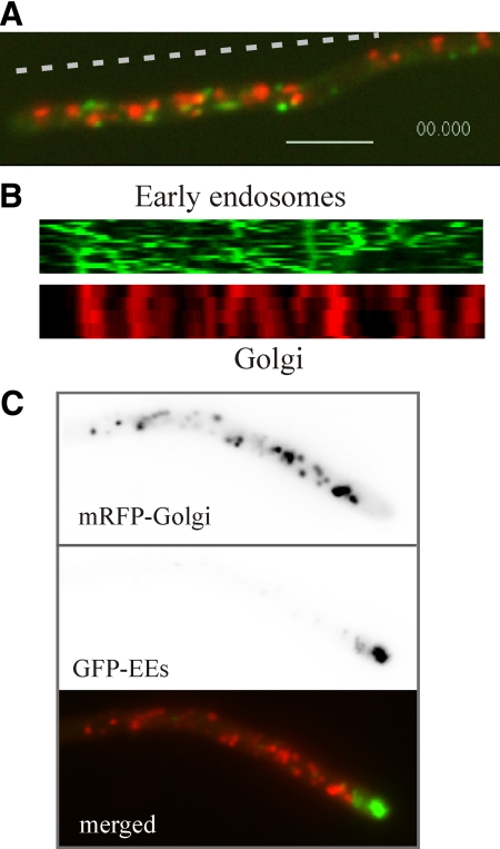 Figure 10.