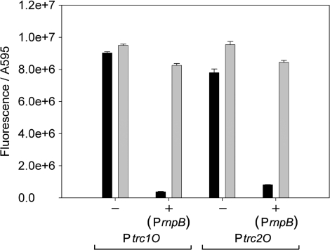 Figure 7.