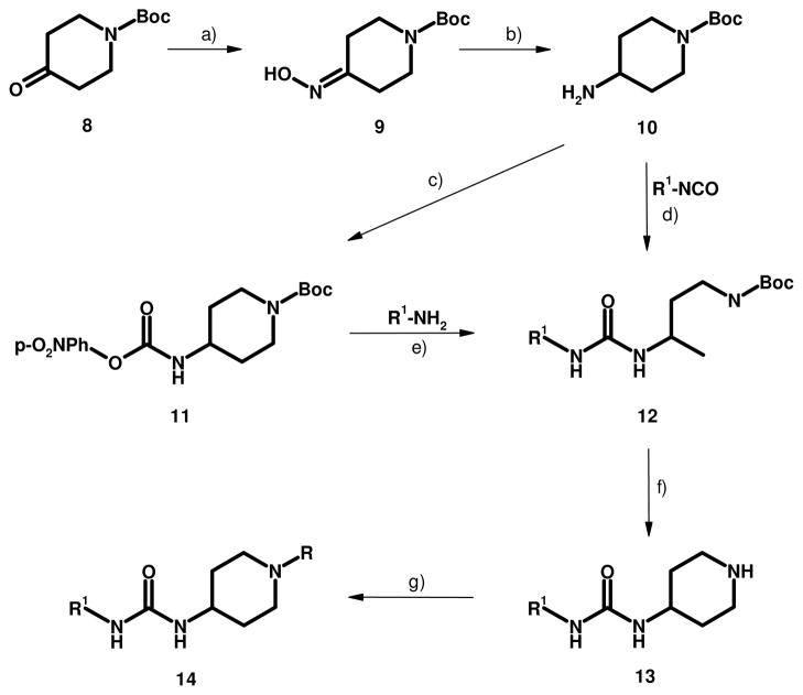 Scheme 1