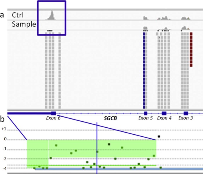 Fig. 2