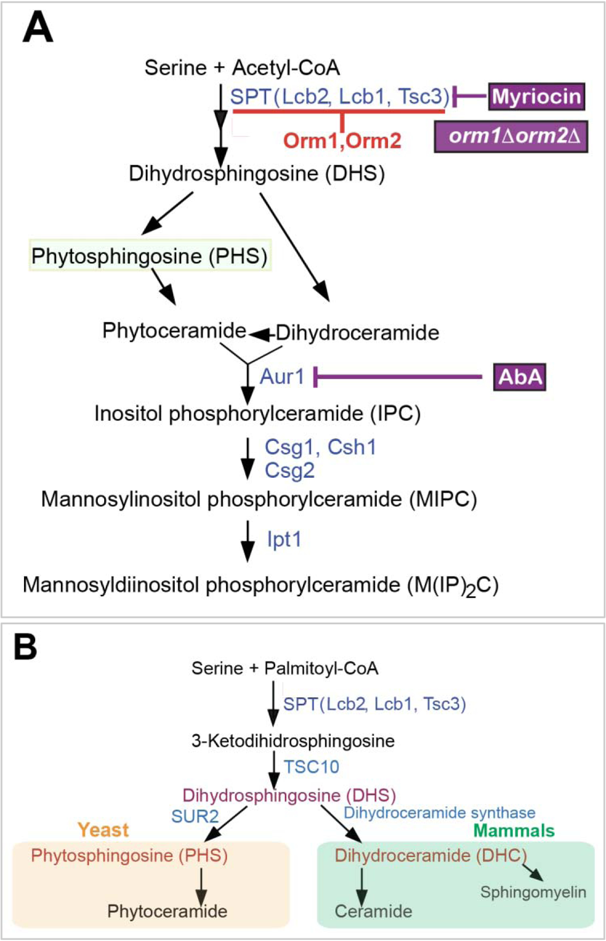 Figure 6: