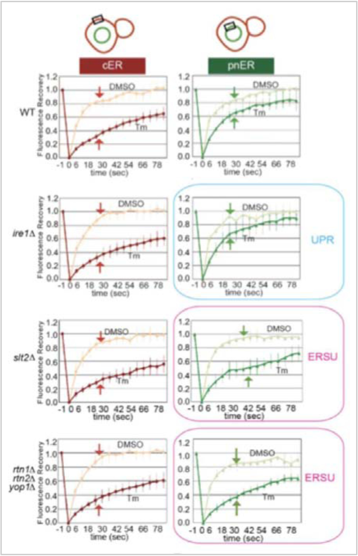 Figure 5: