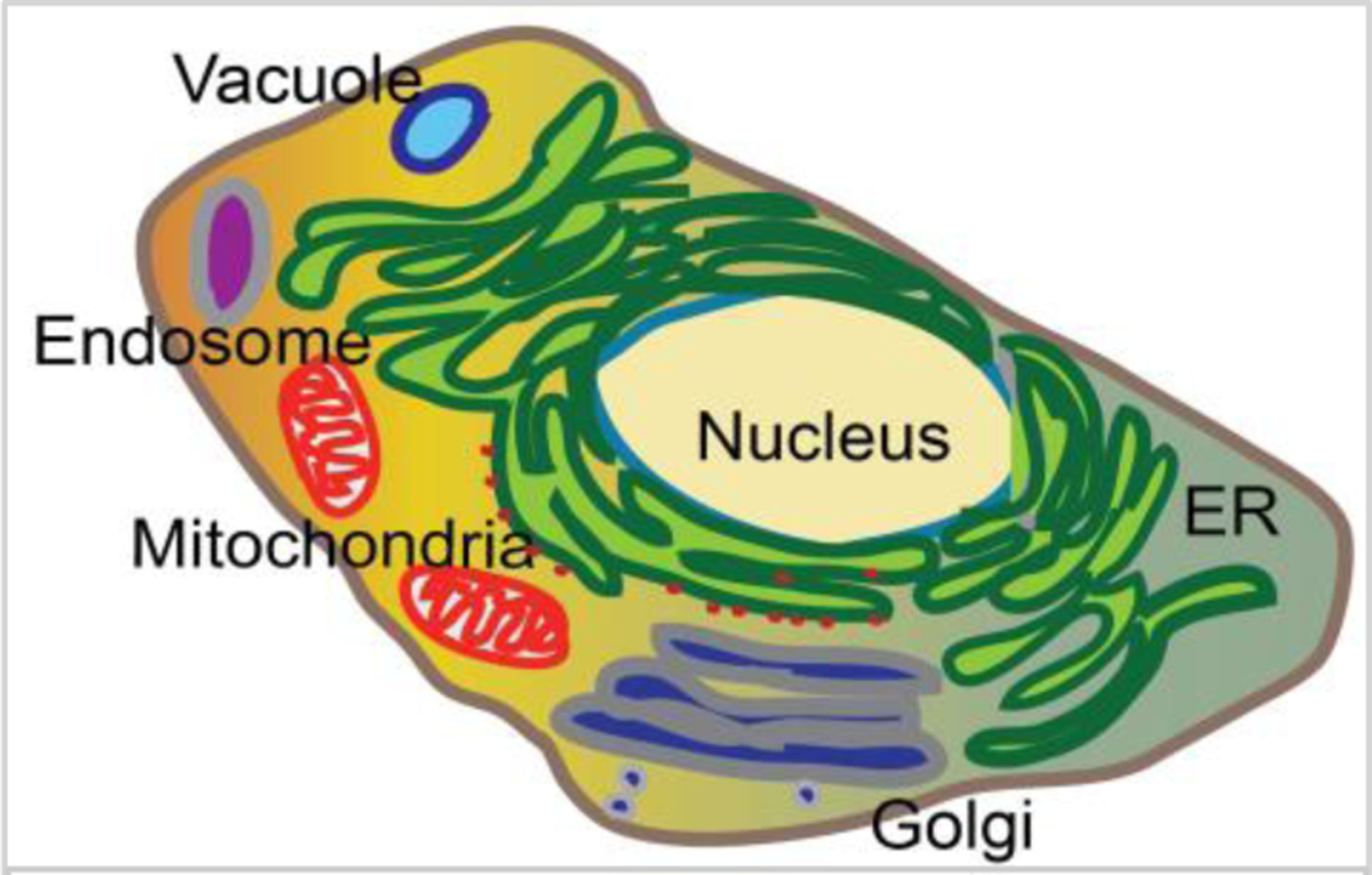 Figure 1: