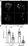 Figure 14.