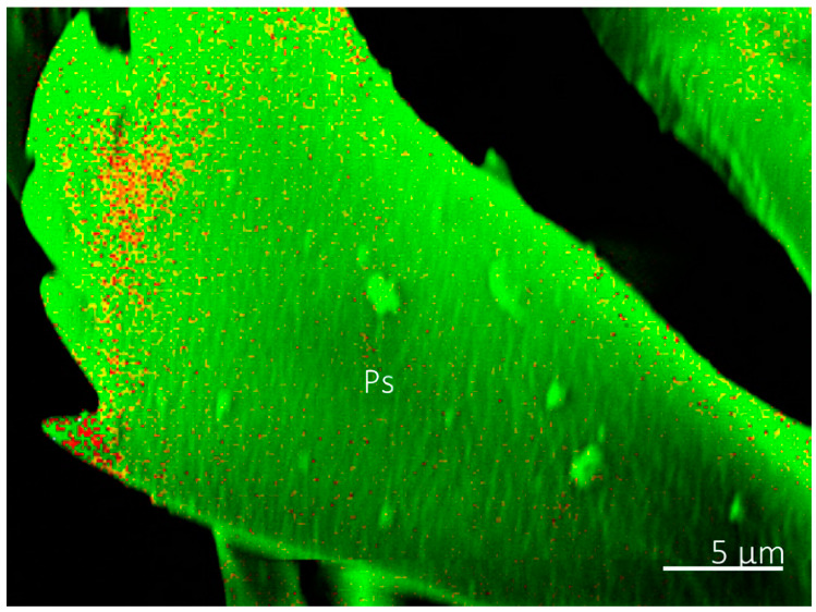 Figure 6