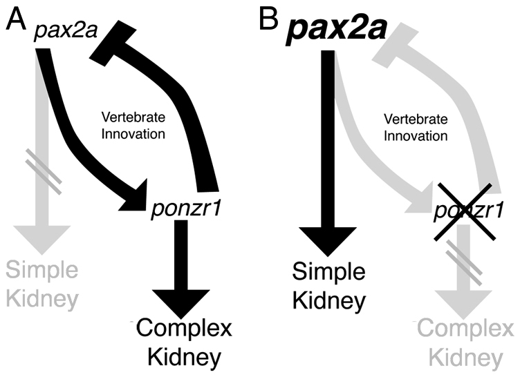 Fig. 9.