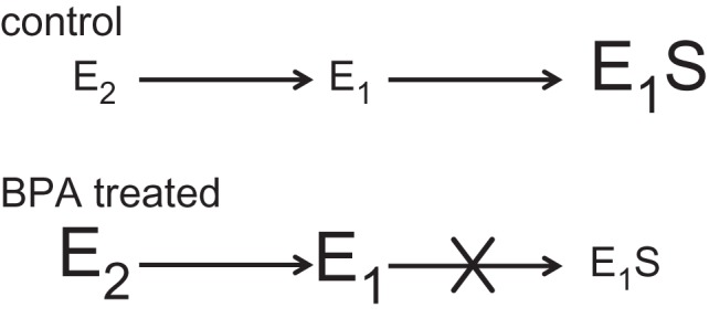 Figure 2.