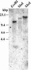 Figure 1.