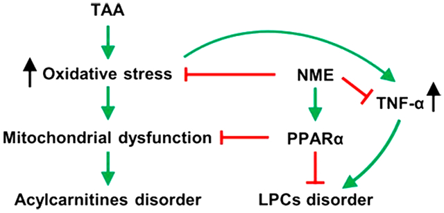 graphic file with name nihms-1036998-f0001.jpg