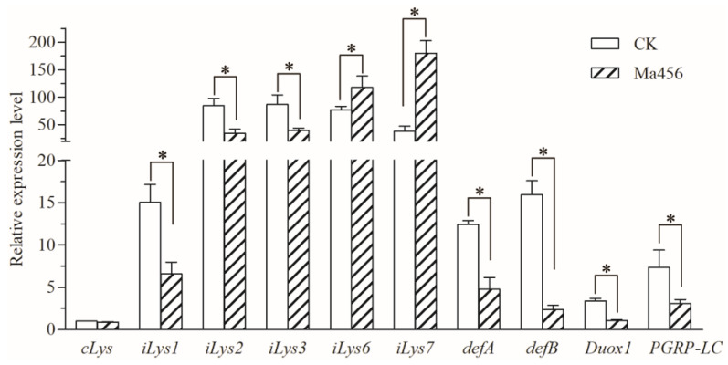 Figure 7