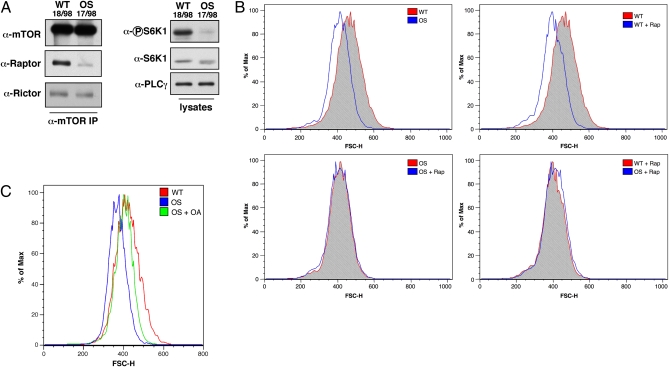 Fig. 3.