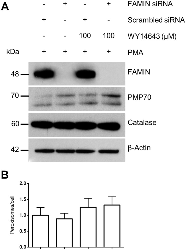 Fig 8