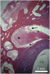 Fig. 9