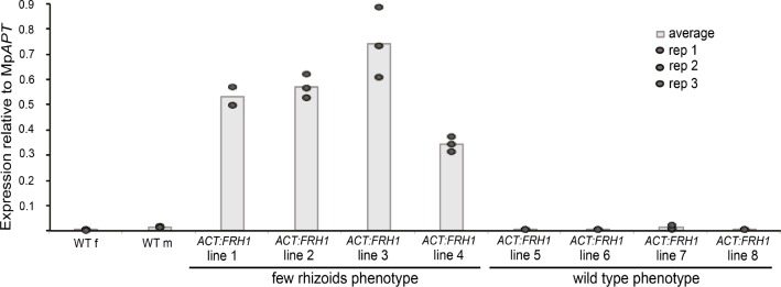 Figure 2—figure supplement 1.