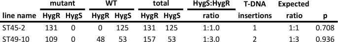 Figure 1—figure supplement 1.