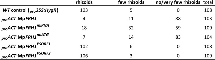 Figure 4—figure supplement 1.