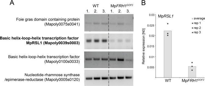 Figure 3—figure supplement 3.