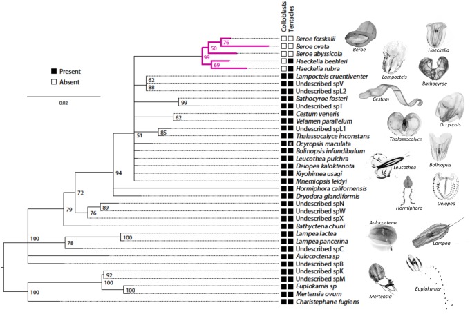 Fig. 2.