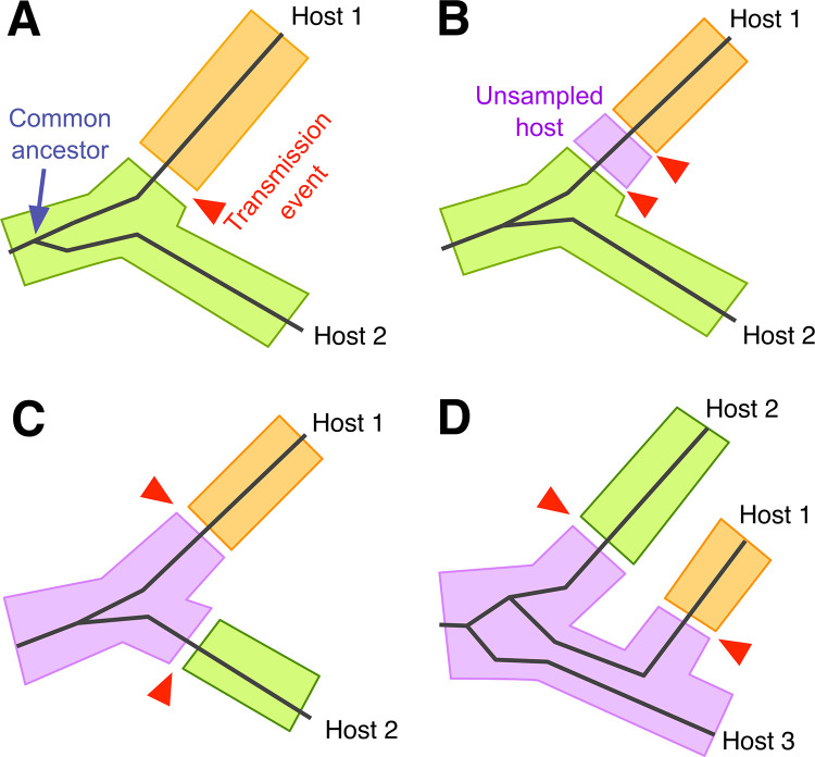 Fig 3