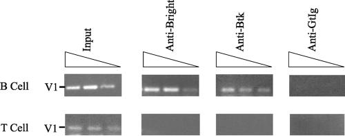 FIG. 8.